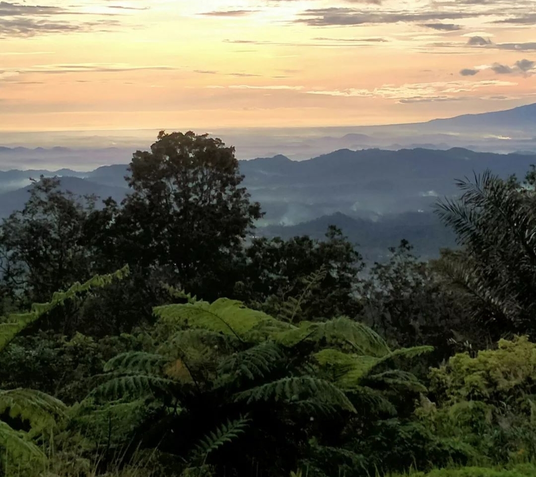 15 Wisata Hidden Gems Tanggamus Lampung, Nomor 4 Disebut Negeri Diatas Awan