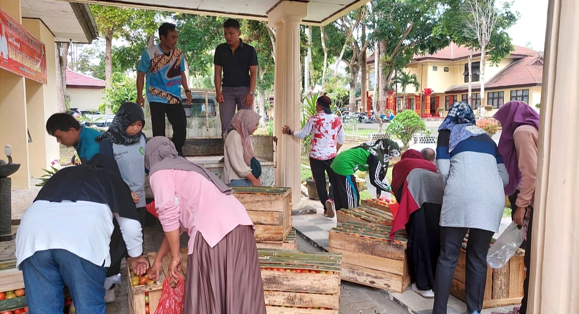 Harga Anjlok, Ada yang Lakukan Aksi Borong Tomat Sampai Satu Ton