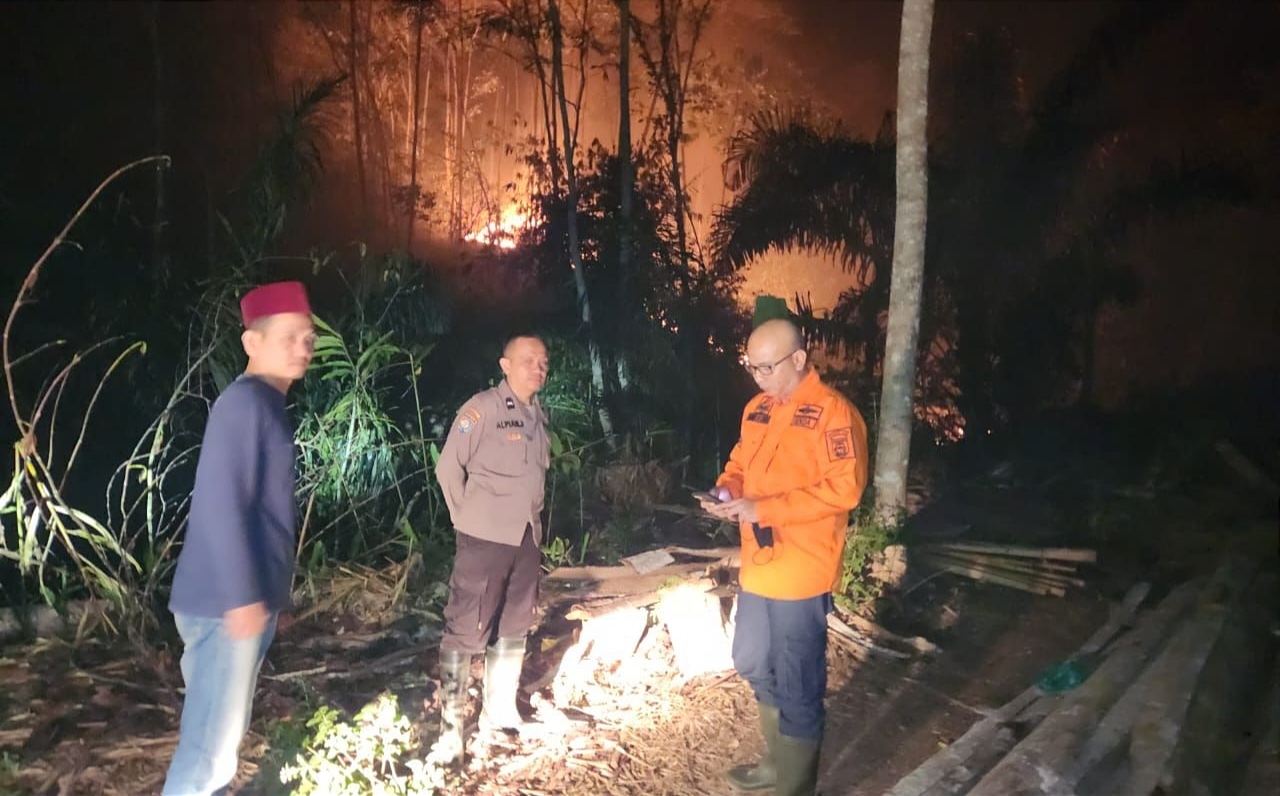 Puluhan Hektare Lahan di Tanggamus Lampung Terbakar, Pemkab Berlakukan Tanggap Darurat Bencana