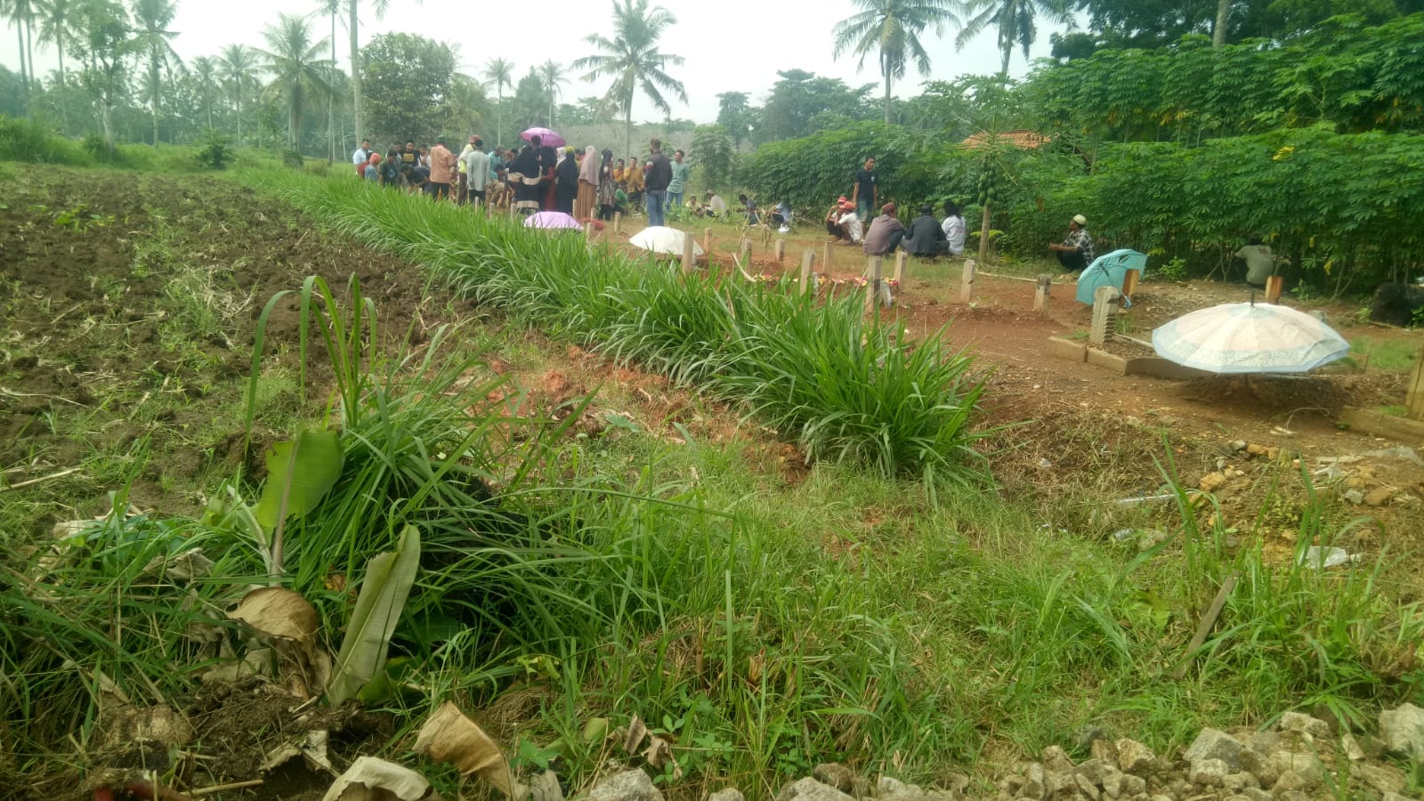 Begini Kronologis Lansia Akhiri Hidupnya dengan Minum Racun Rumput