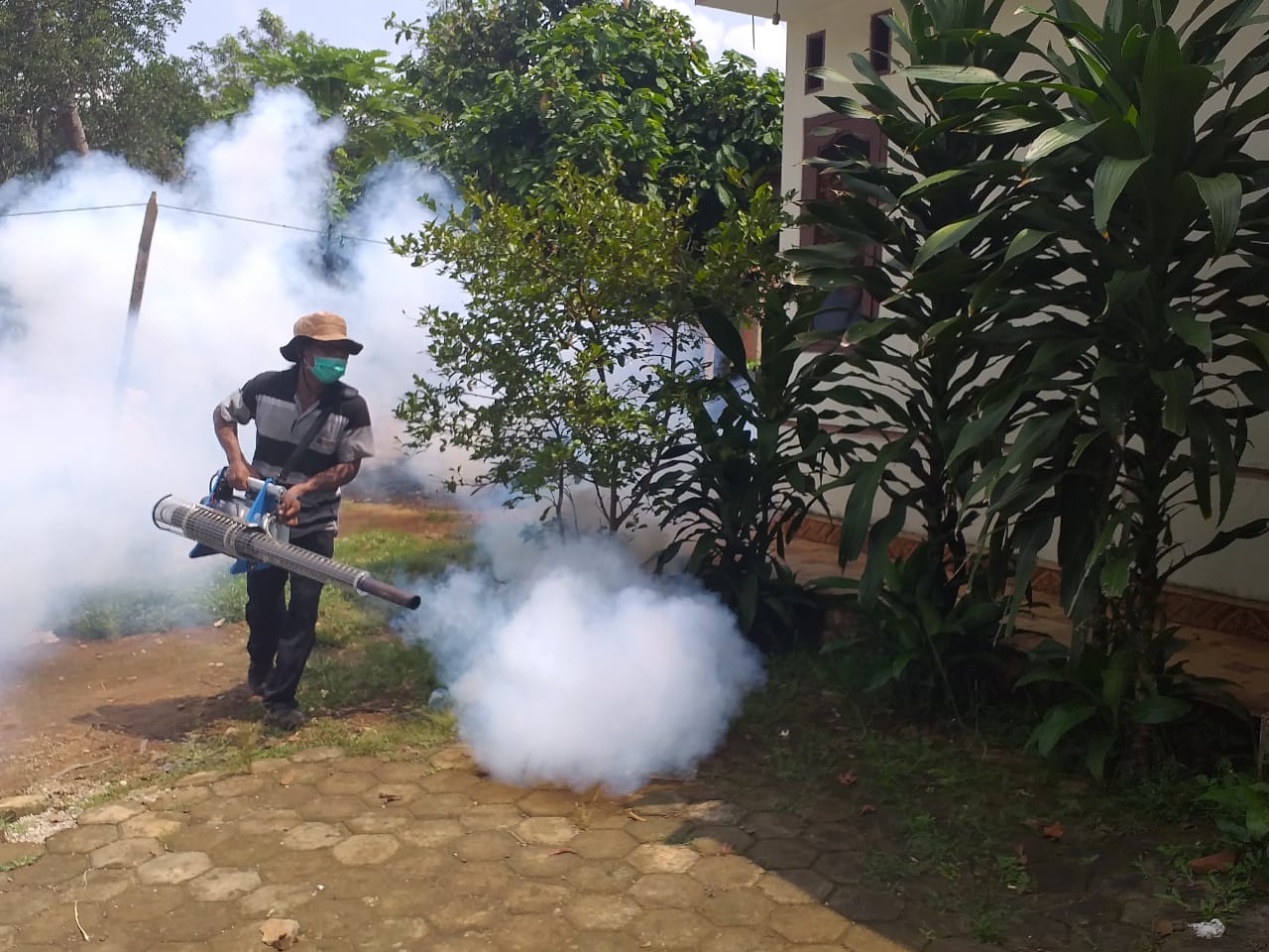 Kian Naik, Update Kasus DBD di Bandar Lampung Bulan Mei Sentuh 23 Kasus