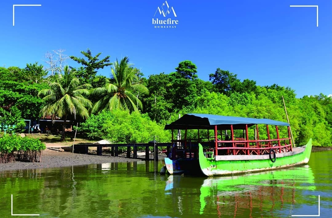 9 Destinasi Wisata Banyuwangi yang Wajib di Jelajahi, Nomor 2 Disebut Amazon-nya Indonesia