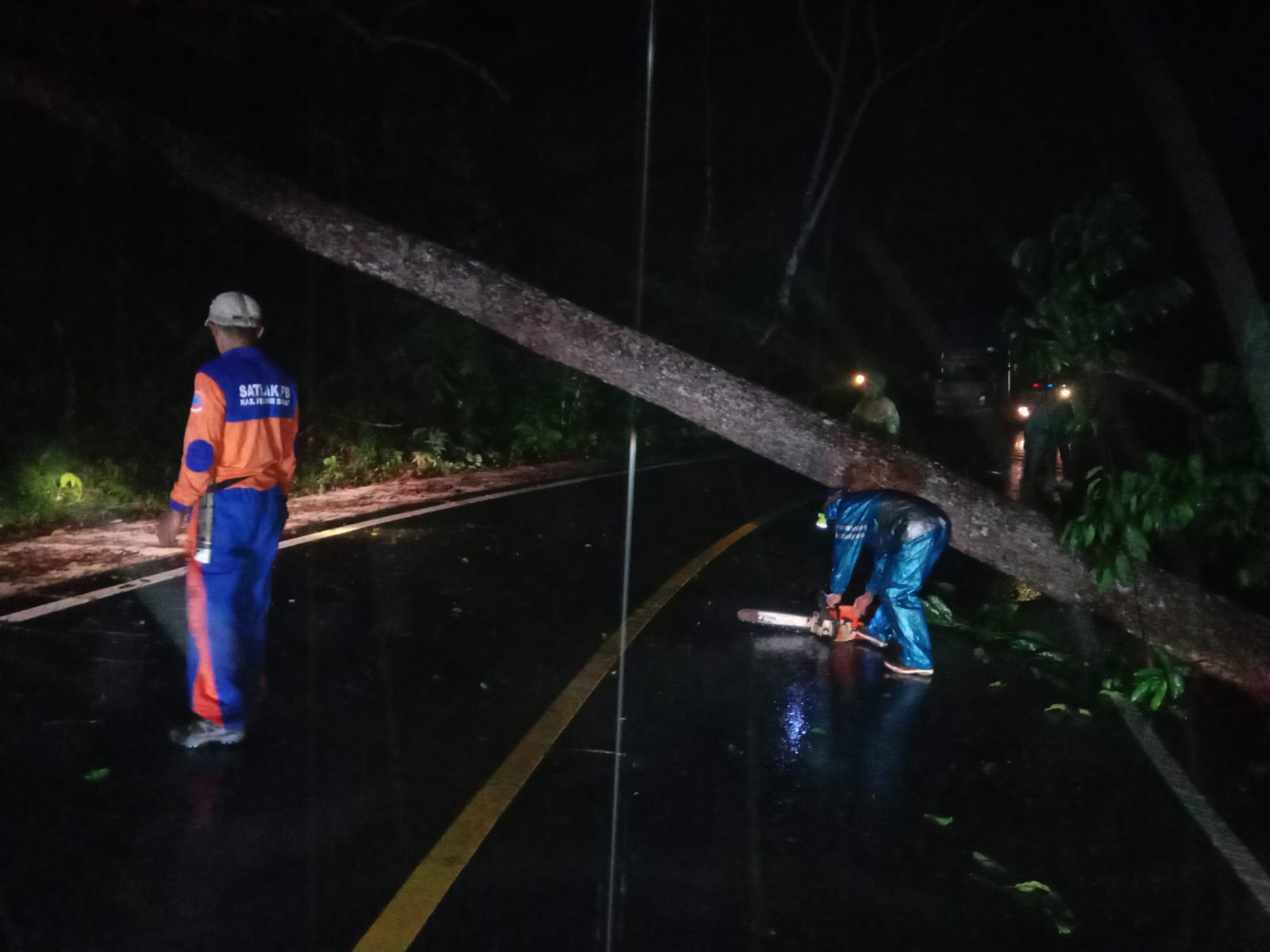Hati-hati, Ada Tanah Longsor, Pohon dan Tiang PLN Tumbang Tutupi Jalinbar Bangkunat Pesisir Barat Lampung