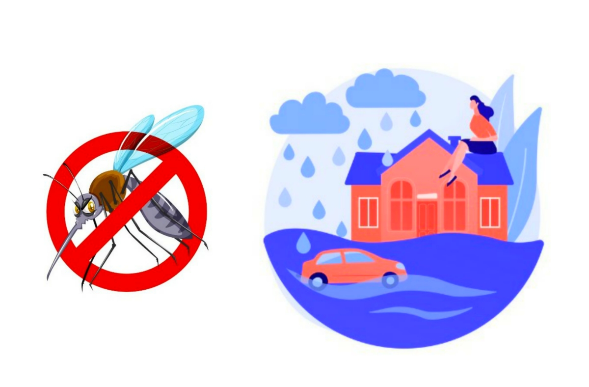 Bandar Lampung Diguyur Hujan Lebat, BPBD dan BMKG Lampung Ingatkan Potensi Banjir Hingga DBD