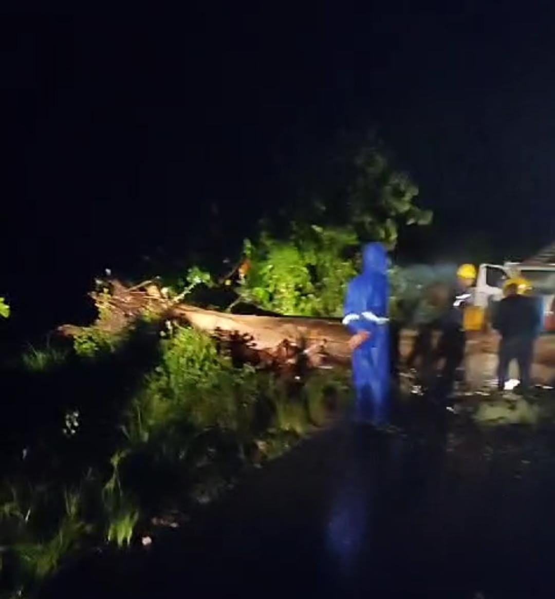 Tertimpa Tiang Listrik Roboh, Pedagang Es di Tulang Bawang Ditemukan Meninggal Dunia, Begini Penjelasan PLN