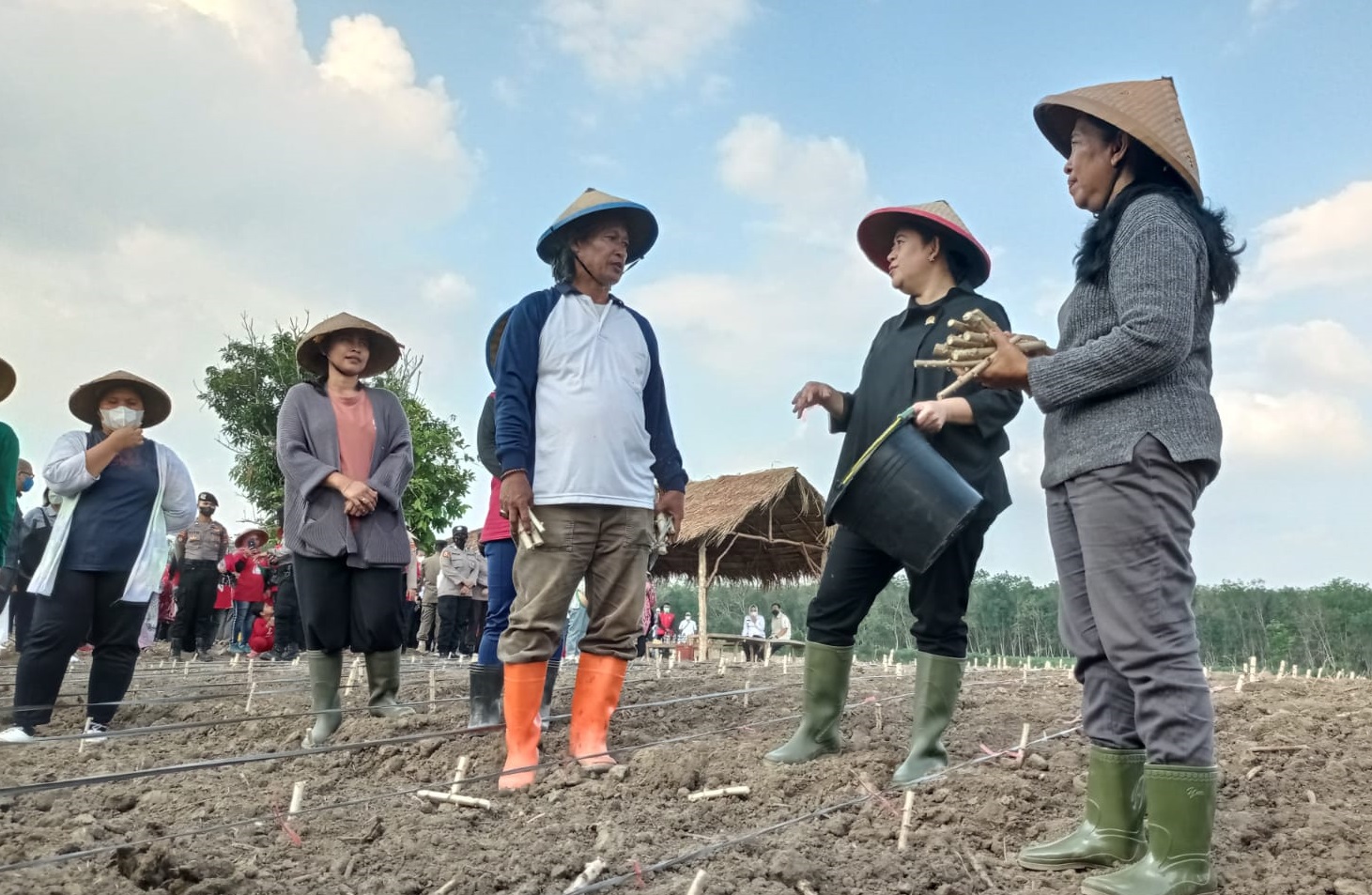DPR RI Pastikan Pupuk Bersubsidi Beredar Pada September
