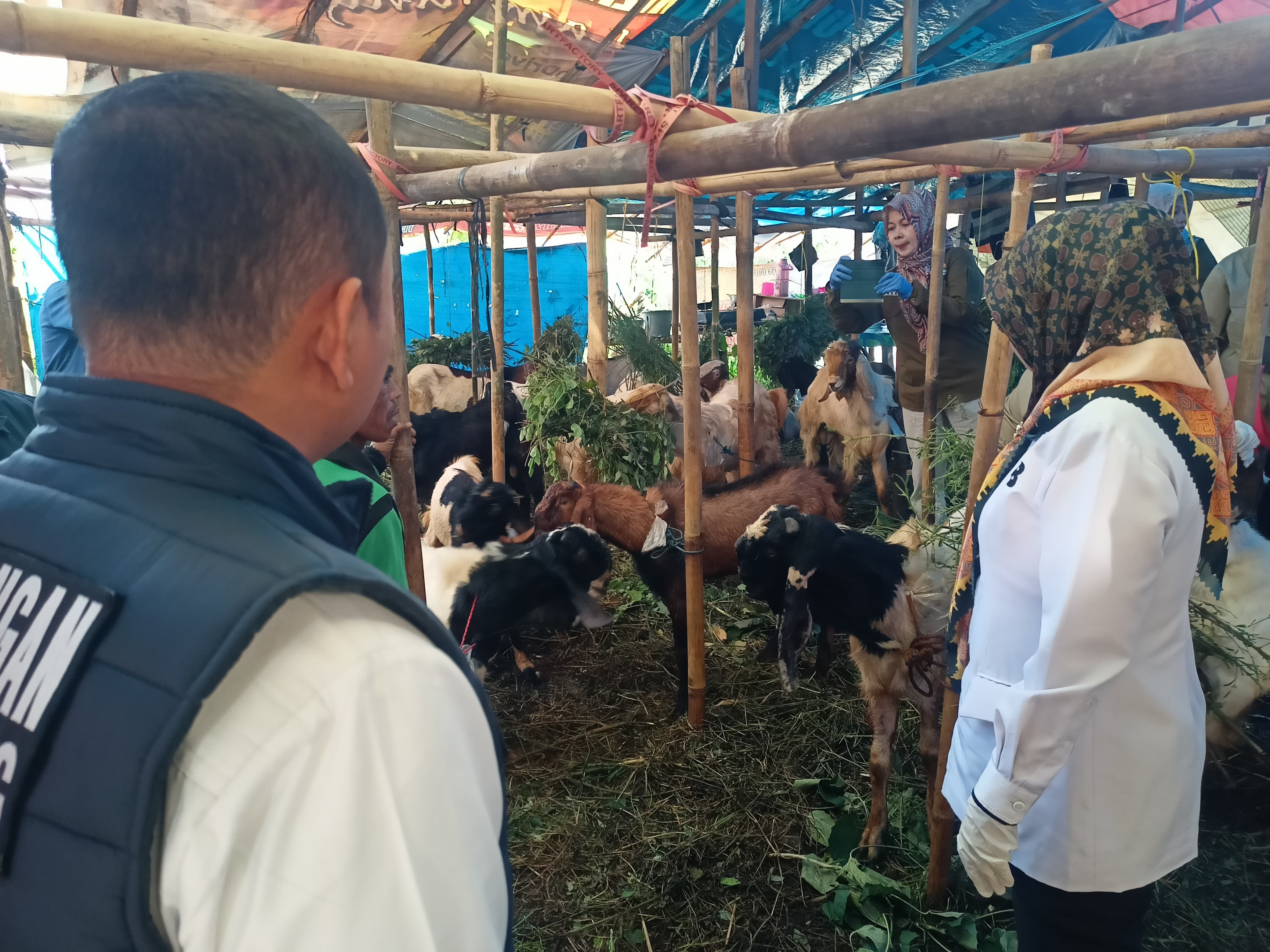Tim Gabungan Lakukan Pemeriksaan di Lapak-lapak Hewan Kurban Bandar Lampung, Ini Hasilnya