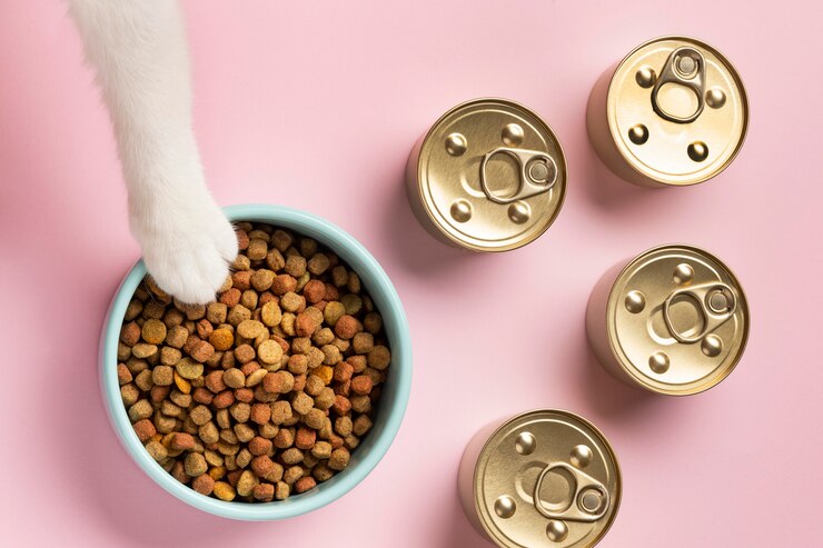 Manakah yang Baik untuk Makanan Kucing, Kering atau Basah?