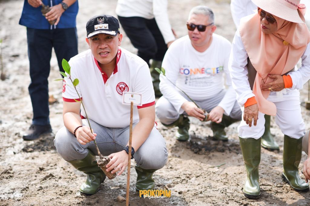 Peringatan HAB, Kemenag Lampung Bersama Bupati Pesawaran Tanam Mangrove