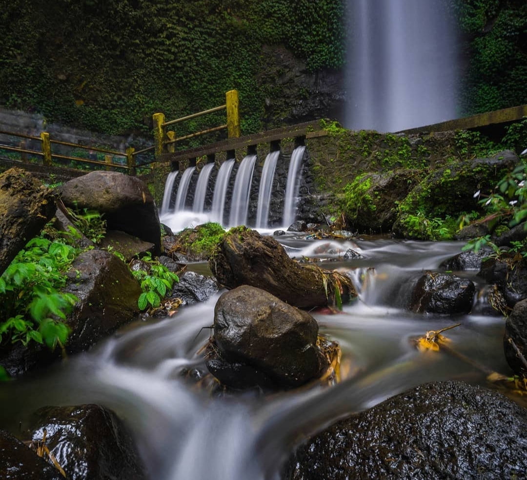Hanya 200 Meter dari Jalan Raya Malang-Kediri, Nikmati Keindahan Wisata Coban Grojogan Sewu Pujon Malang