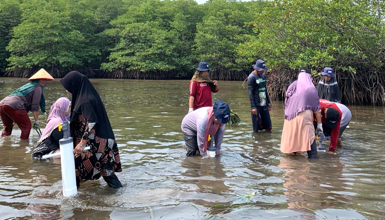 PT Bukit Asam Unit Pelabuhan Tarahan Restorasi Padang Lamun di Ekowisata Cuku Nyinyi Pesawaran Lampung
