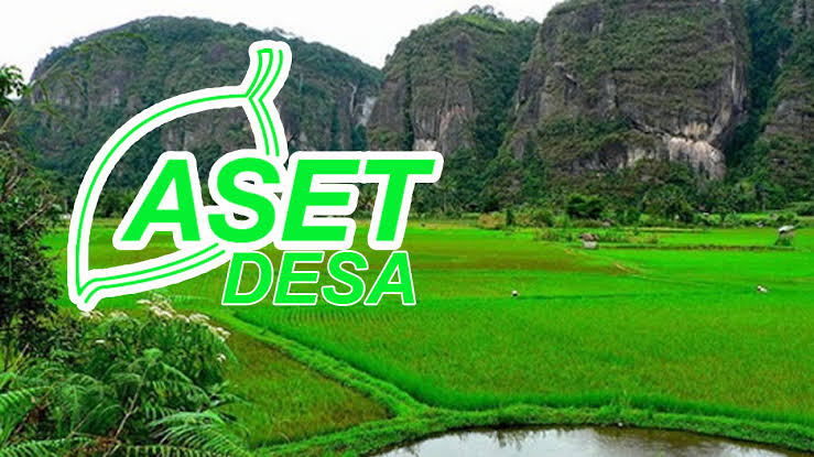 Separuh Desa di Mesuji Belum Laporkan Aset, Dampaknya...