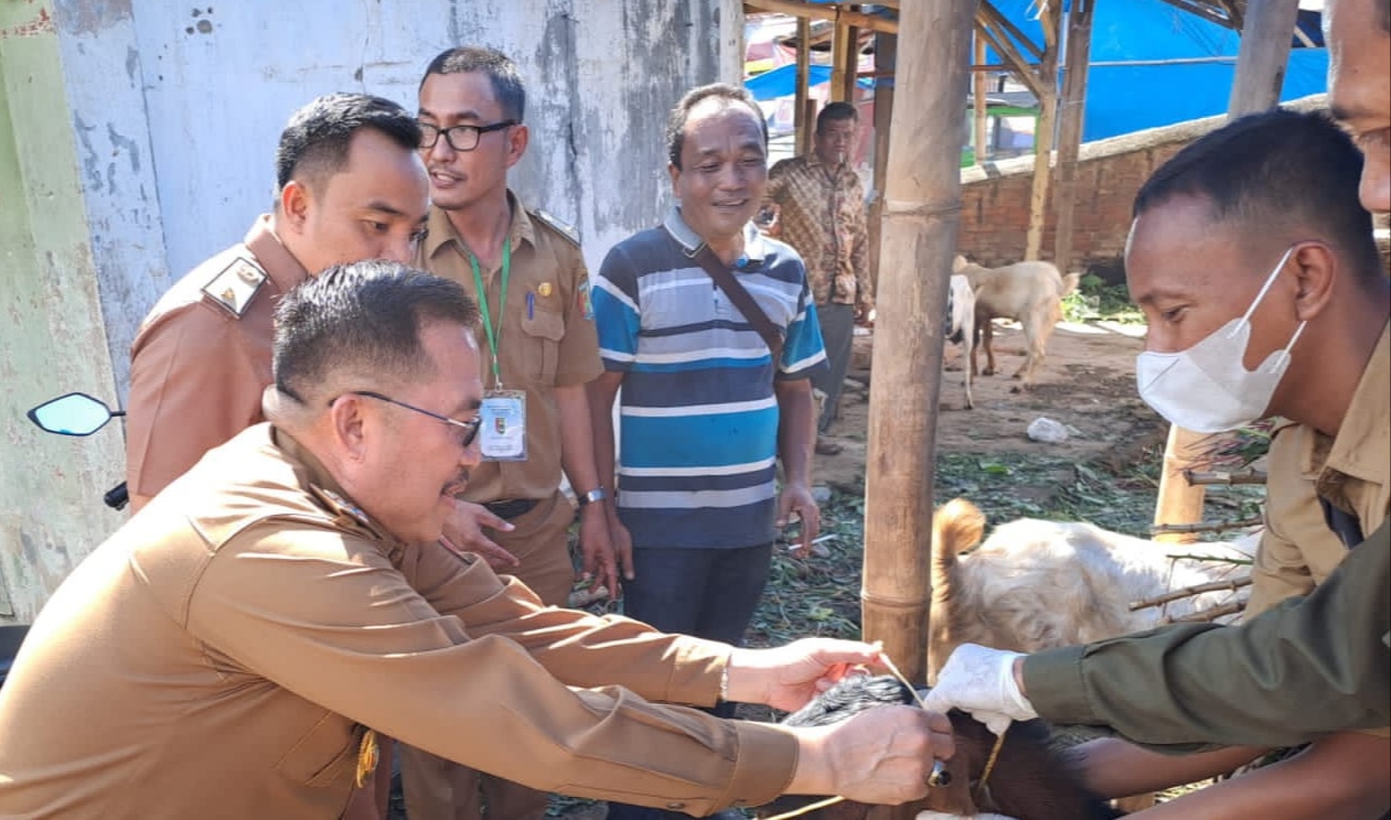 Tim Satgas Bergerak, Sisir Hewan Kurban di Pesawaran Lampung