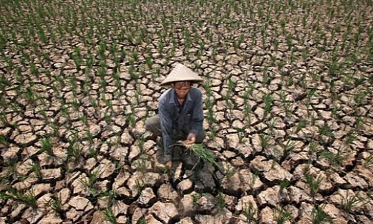 Antisipasi Dampak El Nino, BPBD Lampung 'Senggol' Provinsi Tetangga