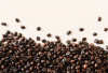 Check the Facts About West Lampung Coffee Bean Production