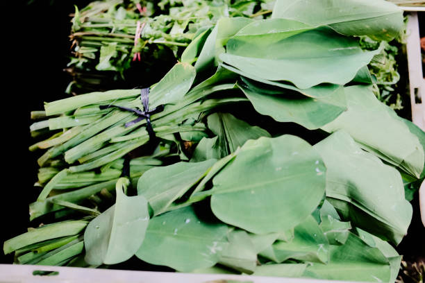 Tidak Sepopuler Bayam dan Kangkung, Ini Manfaat dari Sayur Genjer, Baik untuk Kesehatan