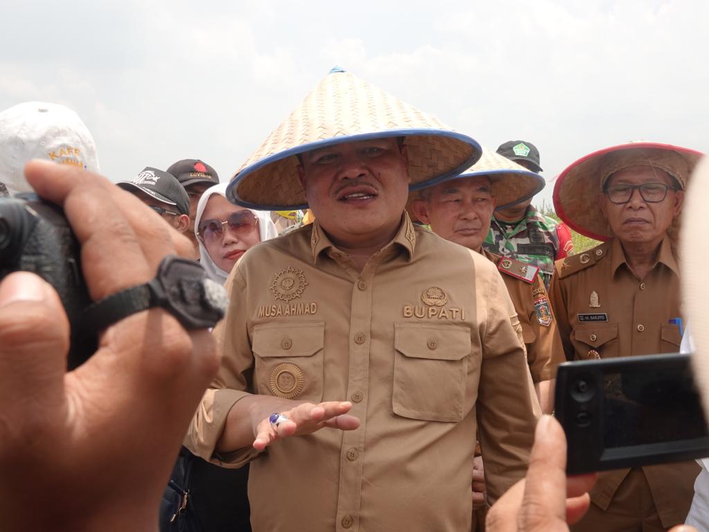 Perdana ! Bupati Lamteng Musa Ahmad Panen Wijen