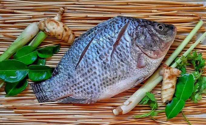 Tingkatkan Konsumsi Ikan di Tanggamus Dengan Berbagai Olahan