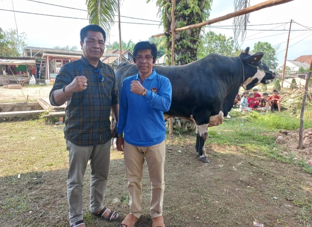 Sapi Kurban Milik Presiden Joko Widodo Tiba di Desa Sritanjung, Bobotnya Bikin Kaget!