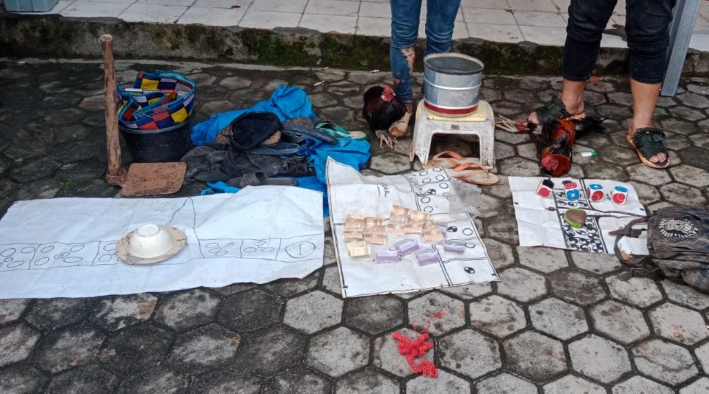 Polres Way Kanan Grebek Judi Sabung Ayam, Hasilnya...