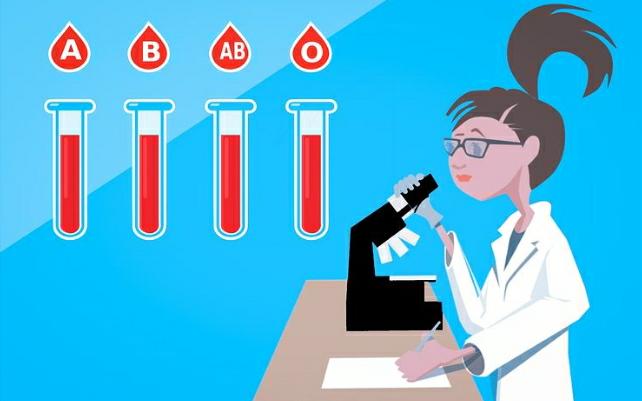 Types of Blood Groups and Disease Risks that are Vulnerable to Their Owners
