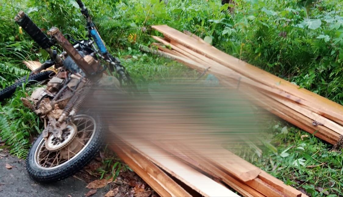 Polsek Pulau Panggung Olah TKP Korban Tewas Tertimpa Kayu, Hasilnya…