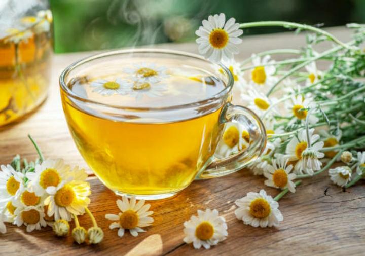 4 Jenis Tanaman Herbal yang Baik untuk Kesehatan Tubuh