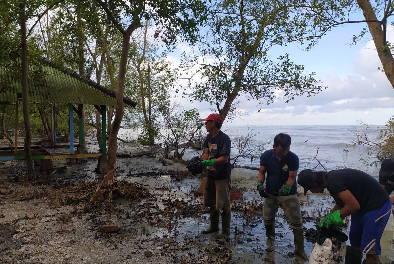 Pencemaran Laut di Lampung Timur Berakibat Dampak Jangka Panjang