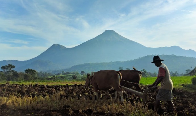 Sektor Prioritas Penyaluran KUR Bank Mandiri, Lengkap Dengan Akumulasi Plafon Pinjaman Jenis KUR