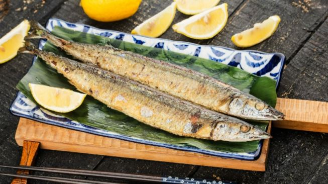 Mengenal 5 Fakta Ikan Shasimo, Ikan Viral yang Dimakan Cipung