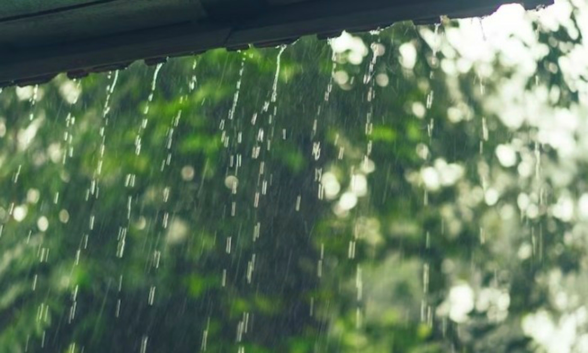 Siaga Banjir! 3 Wilayah di Lampung Waspada Hujan Lebat Hari Ini