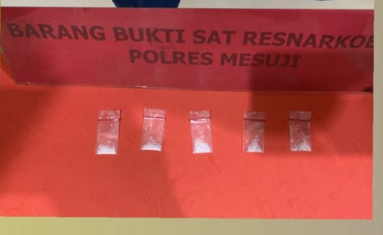 Dua Pemuda di Mesuji Lampung Diciduk Anggota Satresnarkoba, Barang Bukti Lima Paket Sabu