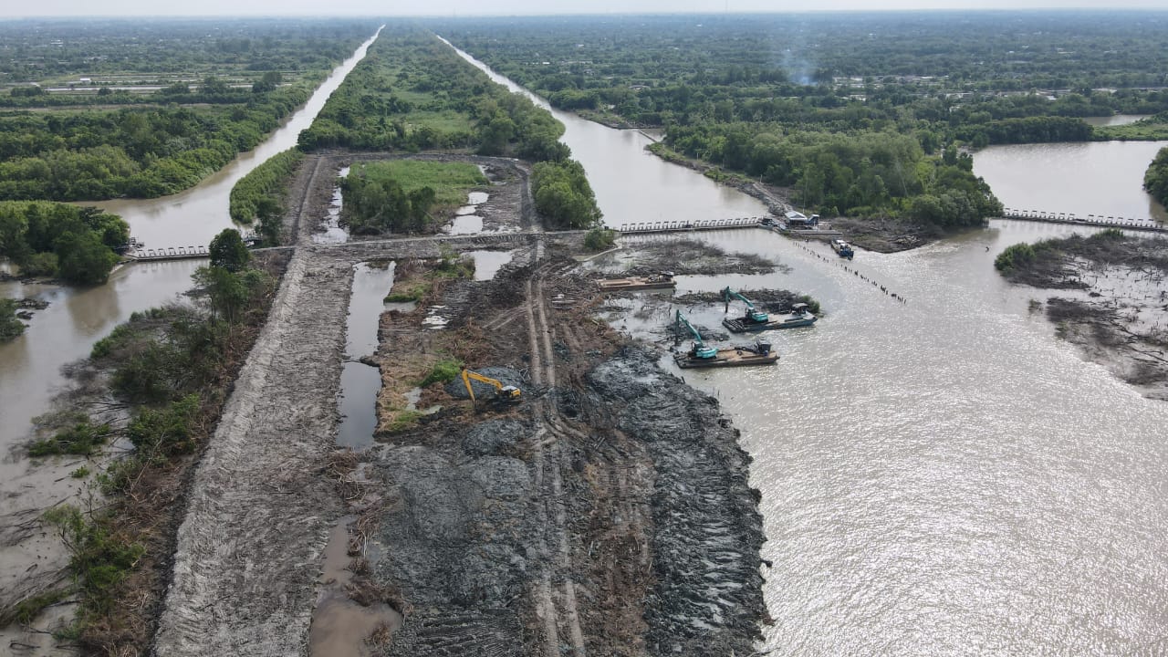 Halo Pemerintah, Petambak Dipasena Butuh Bantuan Bibit Mangrove untuk Dukung Revitalisasi