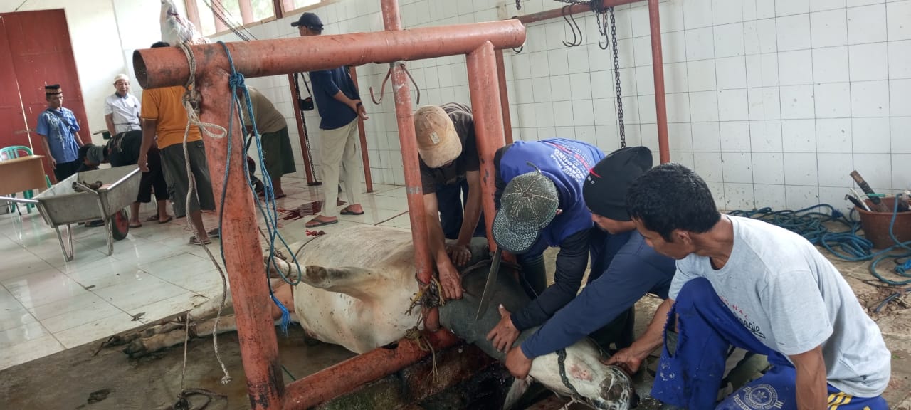 RPH Milik Disbunnak Lampung Barat Minim Fasilitas