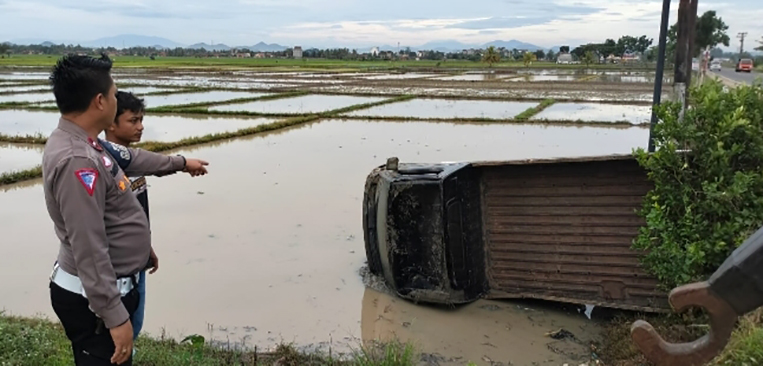 Melintas di Jalinbar Pringsewu, Pikap Bertemu Kucing, Jadi Begini Akhirnya