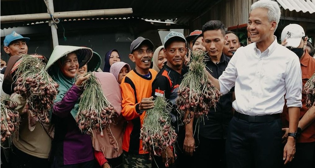 Ganjar Pranowo Respon Curhat Pupuk saat Panen di Brebes, Siap Penuhi Kebutuhan Produksi dan Jual Petani