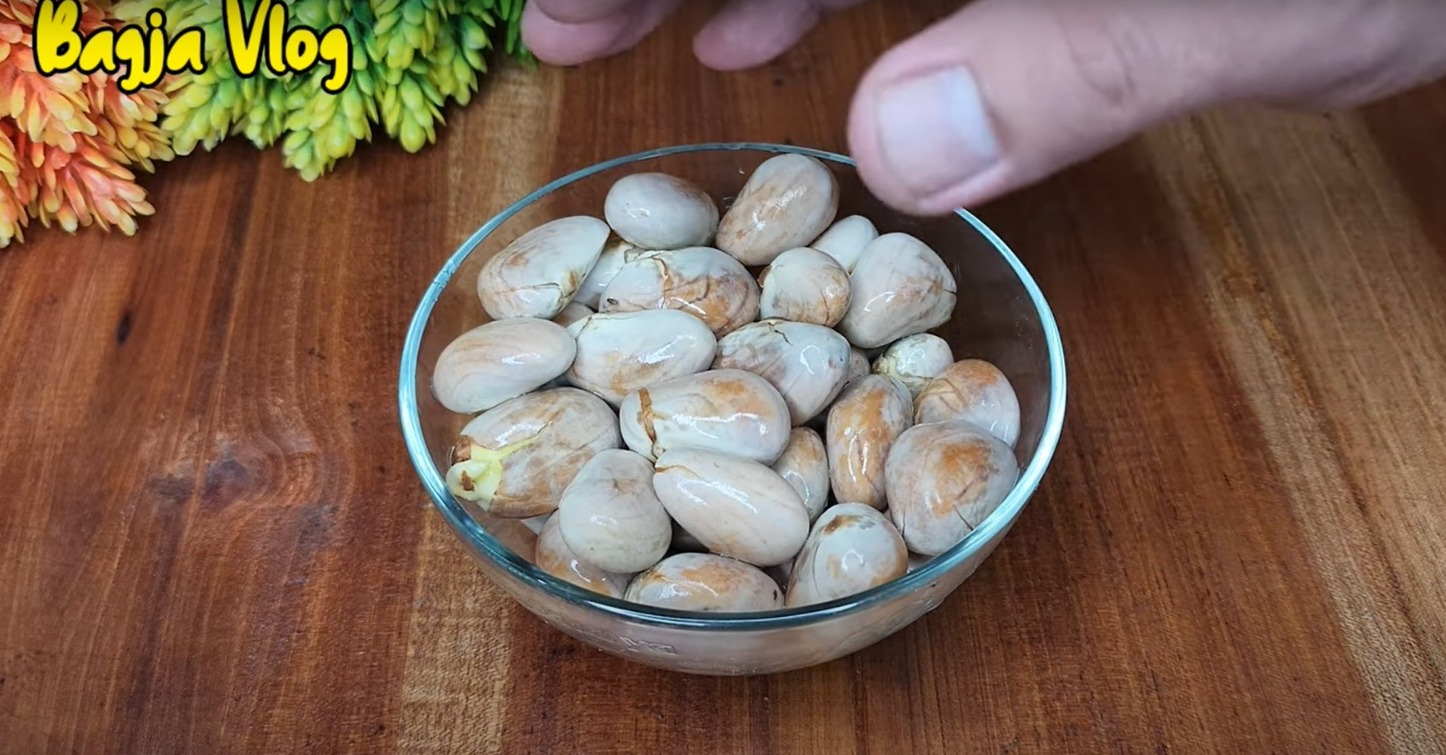 Biji Nangka Punya Khasiat untuk Kesehatan Lho, Pria Wajib Tahu