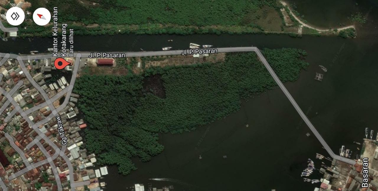 Pemkot Bandar Lampung Akan Bangun Walking Trail Hutan Mangrove di Kota Karang