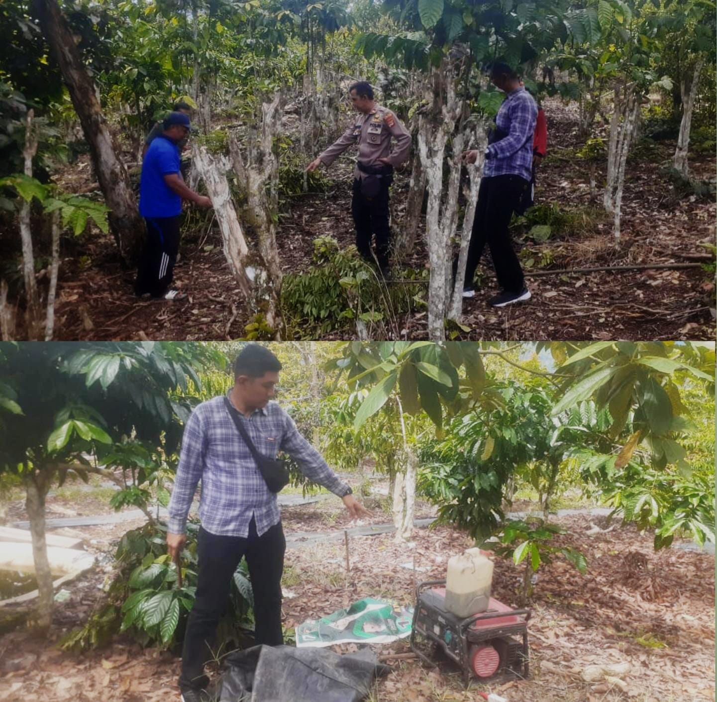 Polisi Amankan Lima Orang Pemasang Jeratan Babi yang Tewaskan Warga di Lumbok Seminung