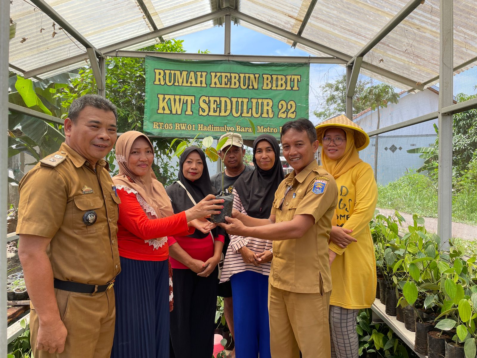 Kembalikan Kejayaan Lada, DKP3 Kota Metro Salurkan Bibit Lada Perdu ke KWT Sedulur Makmur Sejahtera Hadimulyo