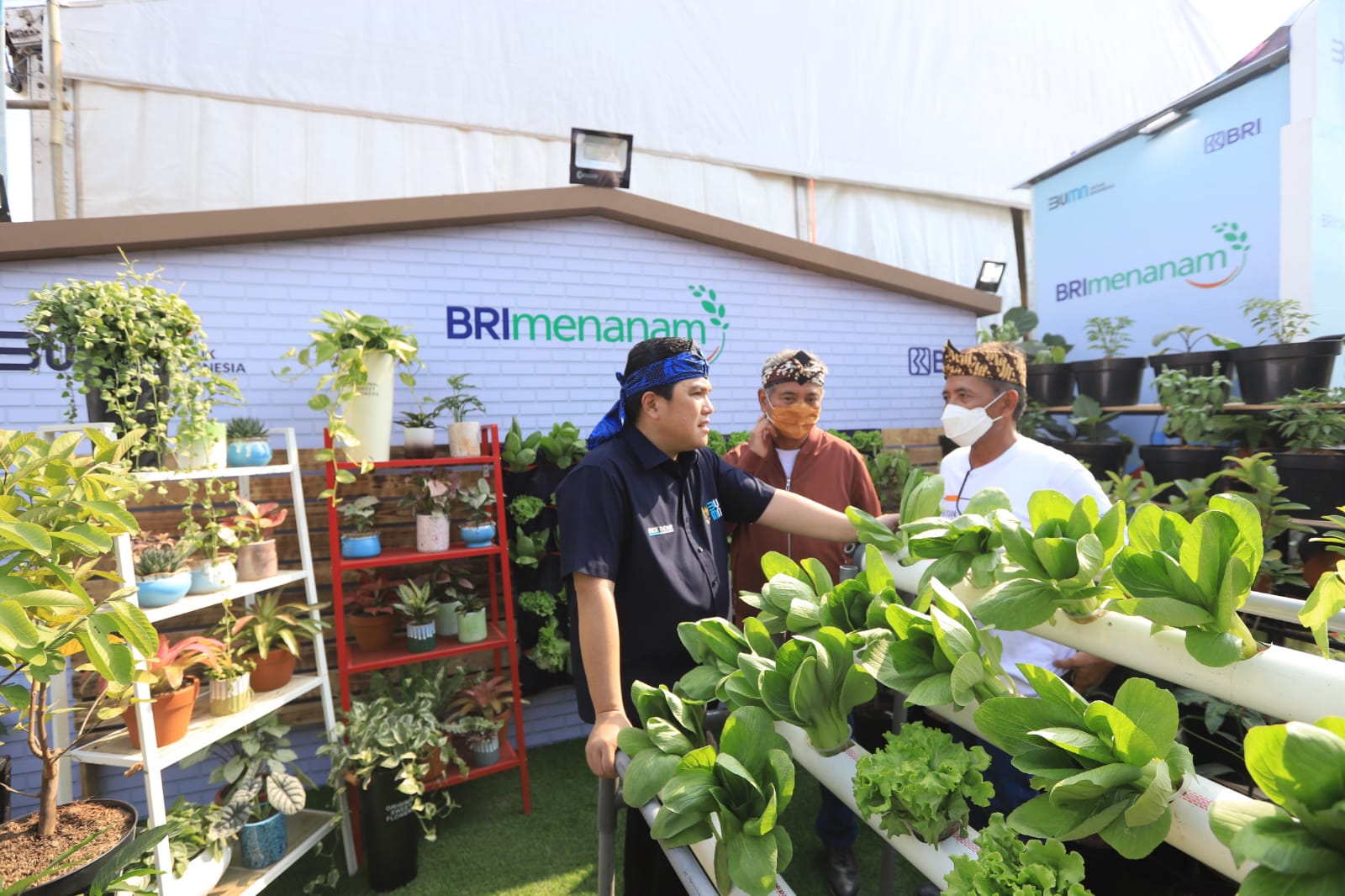 BRI Menanam : Targetkan Tanam 1,75 Juta Bibit Pohon Produktif Hingga 2023 untuk Pengurangan Emisi Karbon