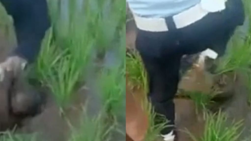 Viral Video Berdurasi 0,18 Detik Oknum Pegawai Lapas Injak Tahanan, Isinya Bikin Geram
