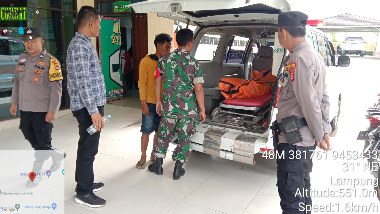 Jebakan Babi Hutan Makan Korban Hingga Tewas