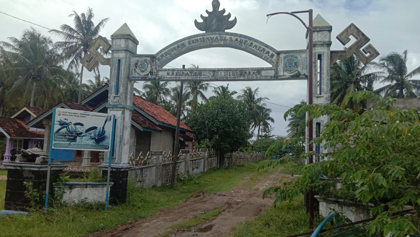 Kawasan Konservasi Penyu di Pesisir Barat Terbengkalai