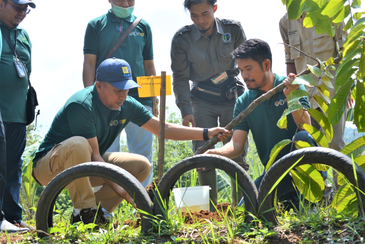 PLN dan Balai Besar TNBBS Gelar Aksi Bersih-Bersih Sampah di Ruas Jalan Sanggi-Bengkunat