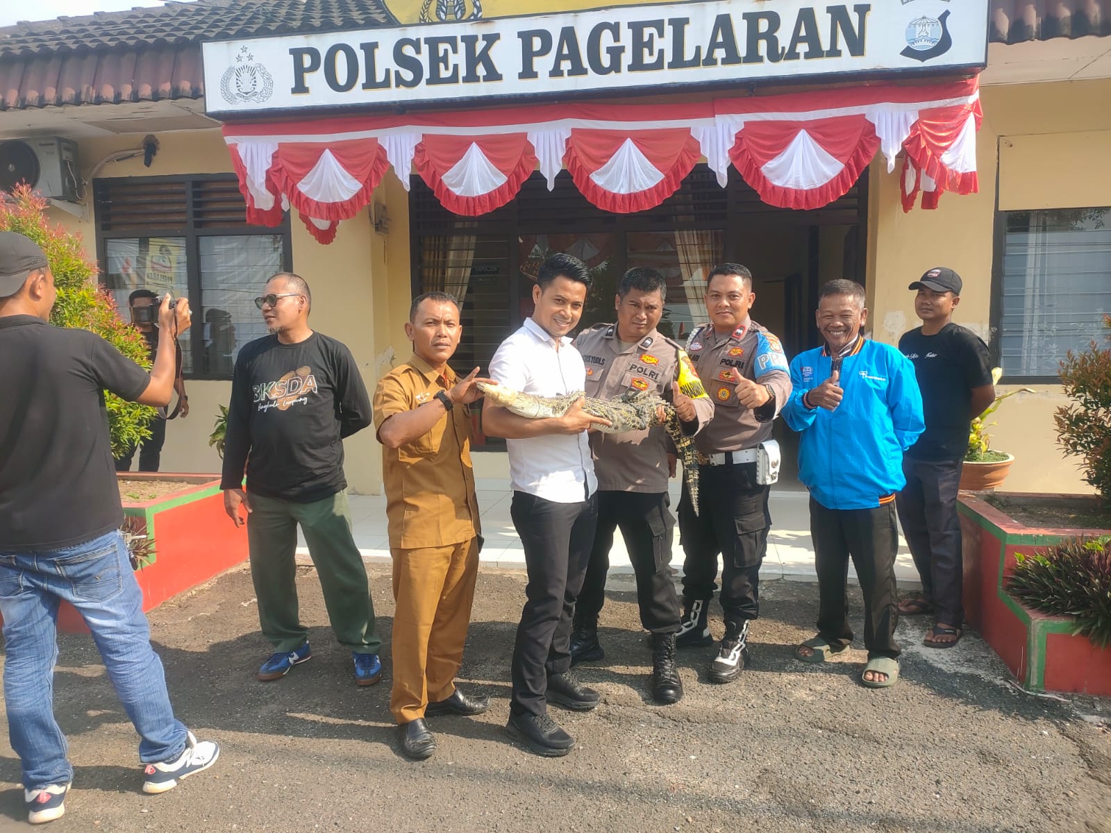 Bikin Heboh, Buaya Muara Diserahkan ke BKSDA