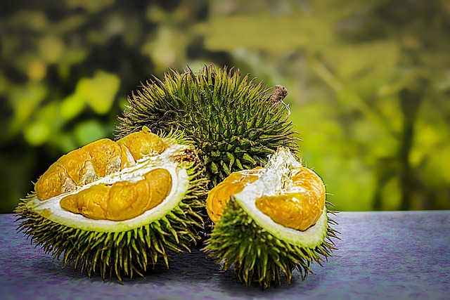 Mengenal Ragam Oleh-oleh Khas Lampung yang Menggugah Selera
