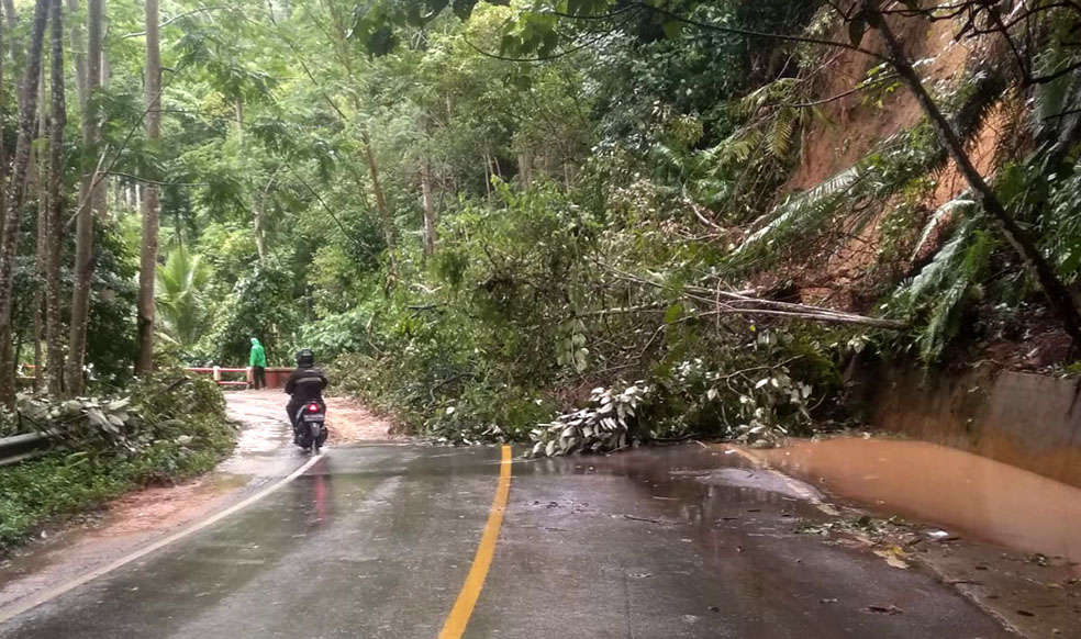 Longsor di Jalinbar Pesisir Barat, Setengah Badan Jalan Tertutup