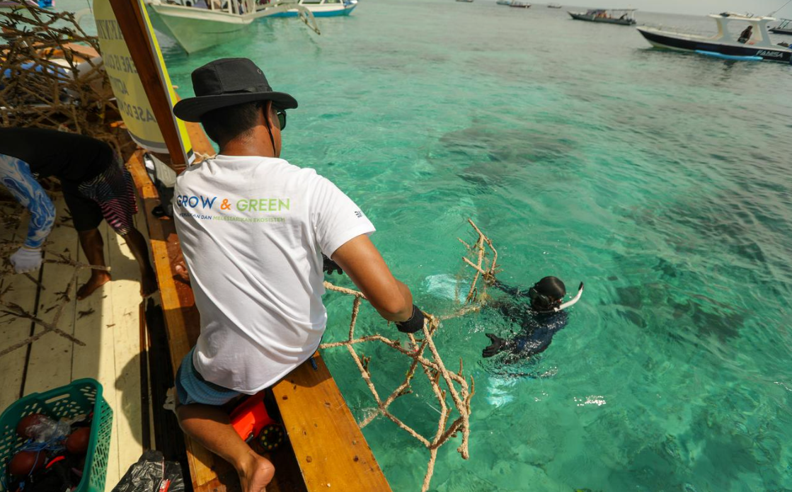 BRI Menanam 'Grow & Green' Transplantasi Terumbu Karang, Jadi Ujung Tombak Pelestarian Ekosistem Laut di NTB