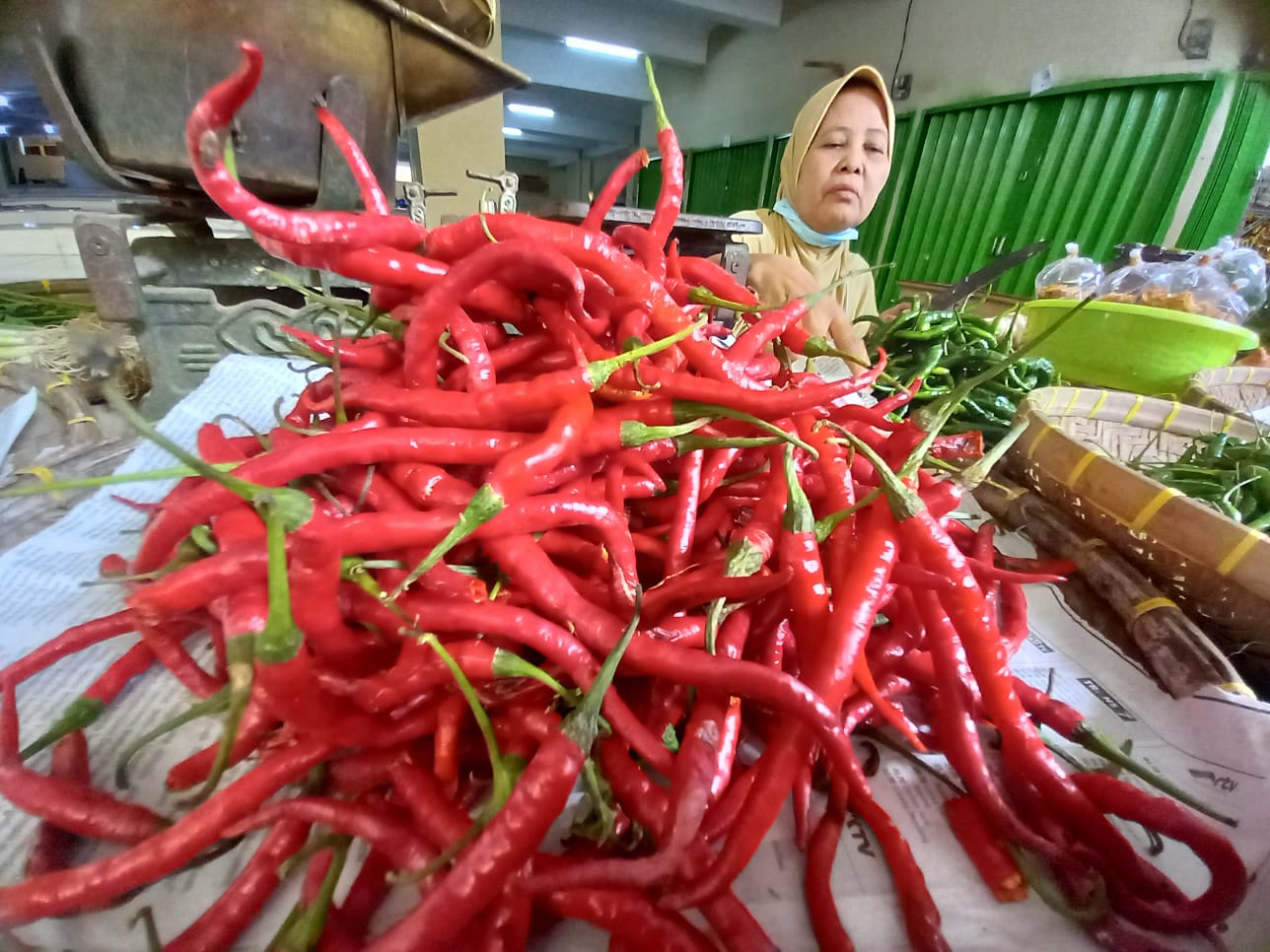 Kendalikan Inflasi, Pemkot Bandar Lampung Gencar Sebarkan Bibit Cabai